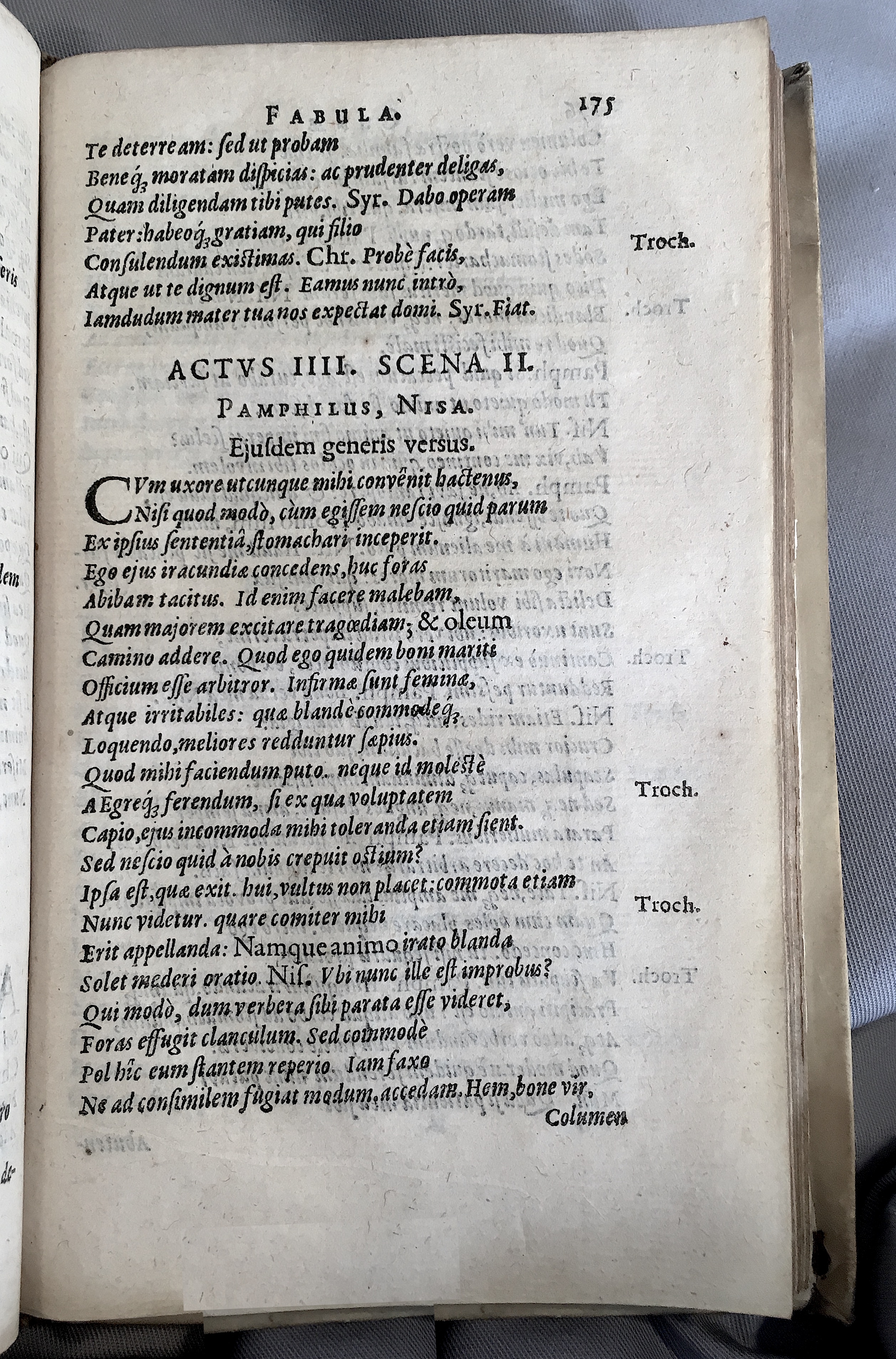 Schonaeus5Cunae1599p175.jpg