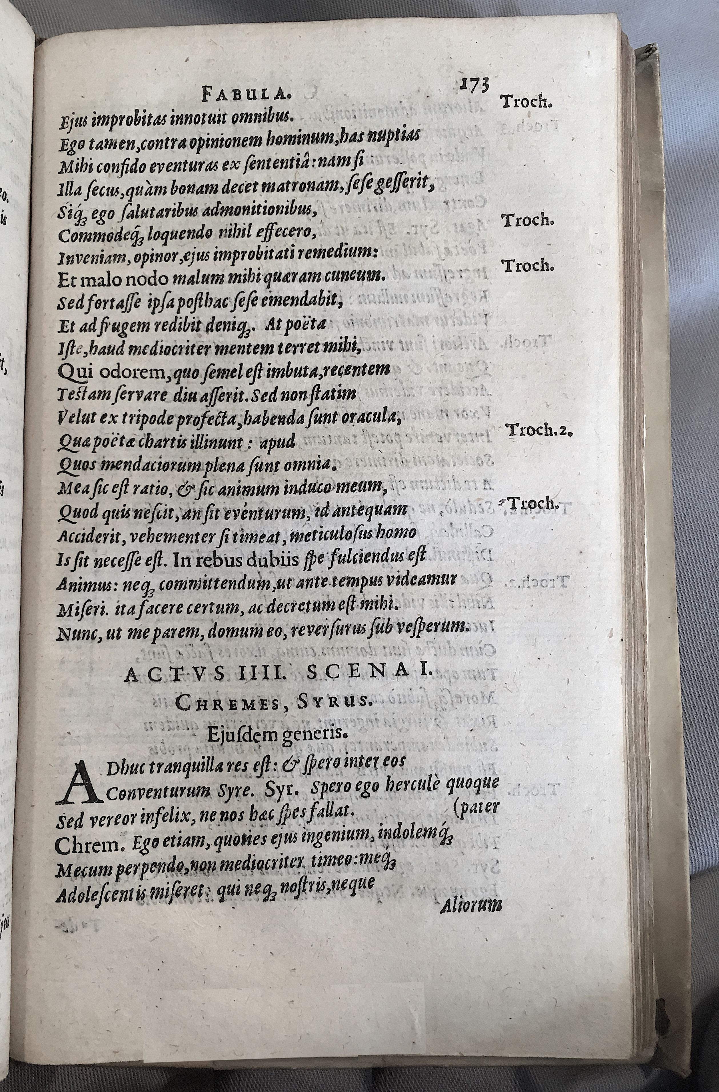 Schonaeus5Cunae1599p173