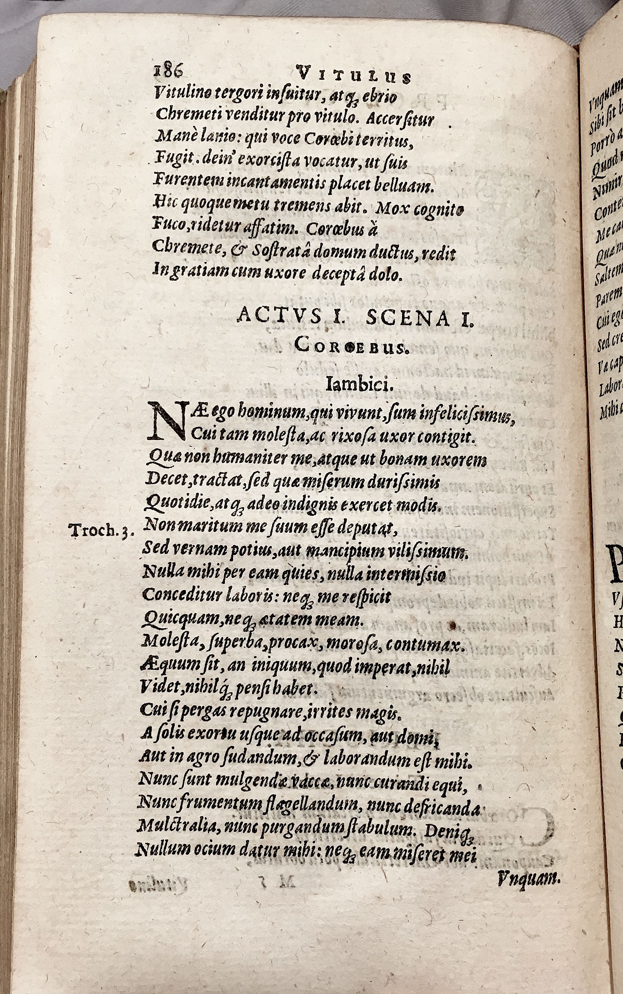 Schonaeus6Vitulus1599p186