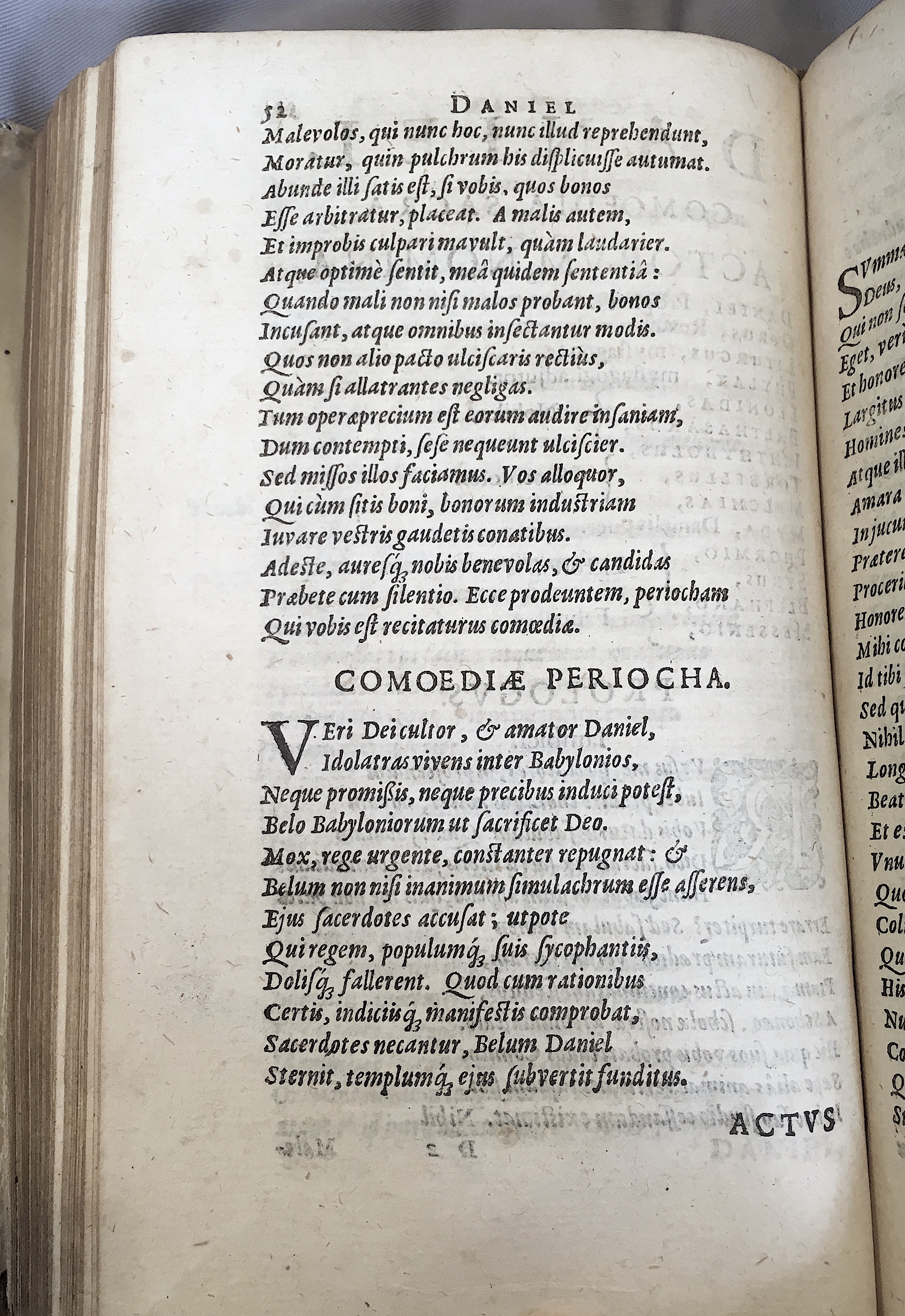 Schonaeus2Daniel1599p052.jpg