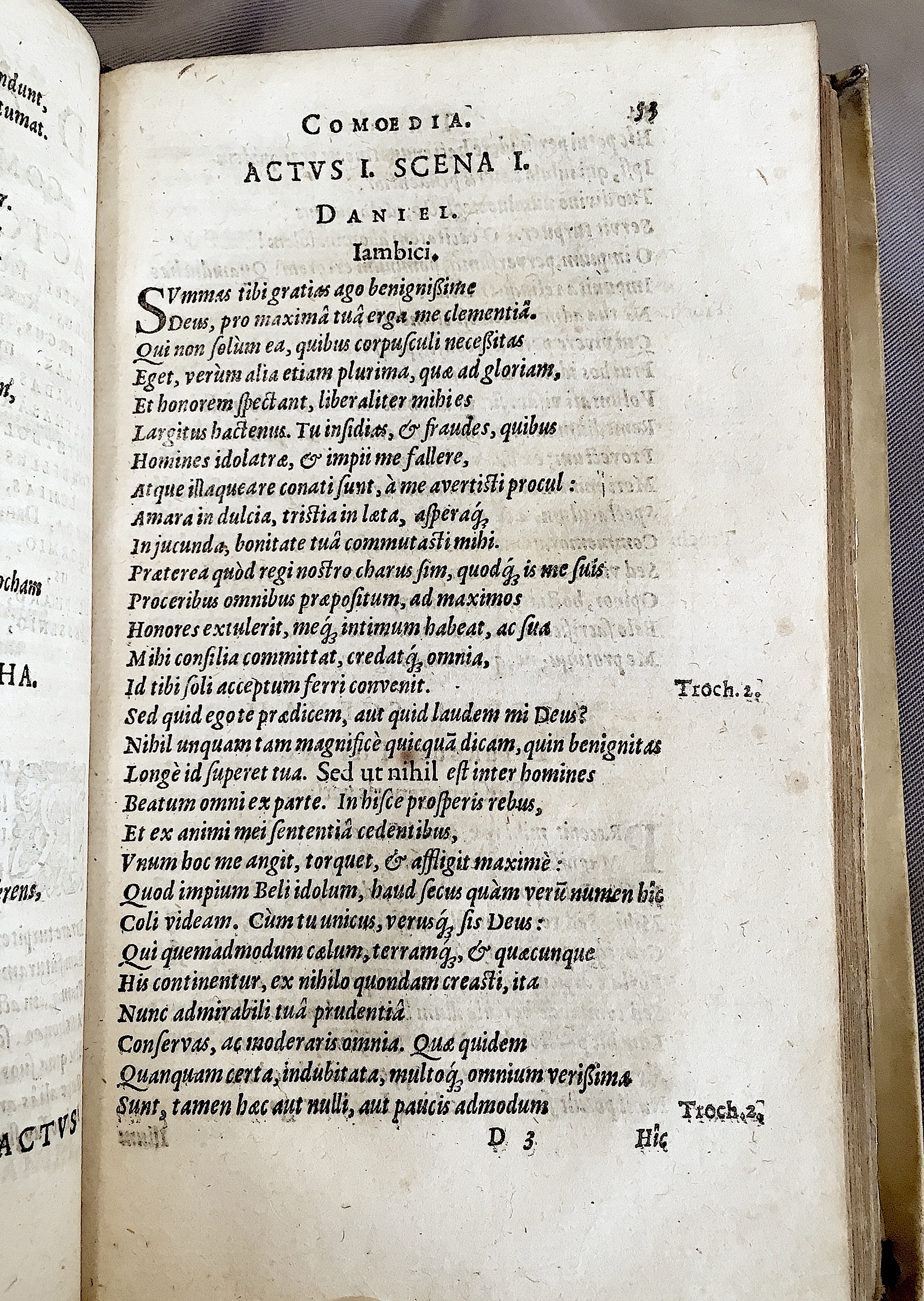 Schonaeus2Daniel1599p053.jpg