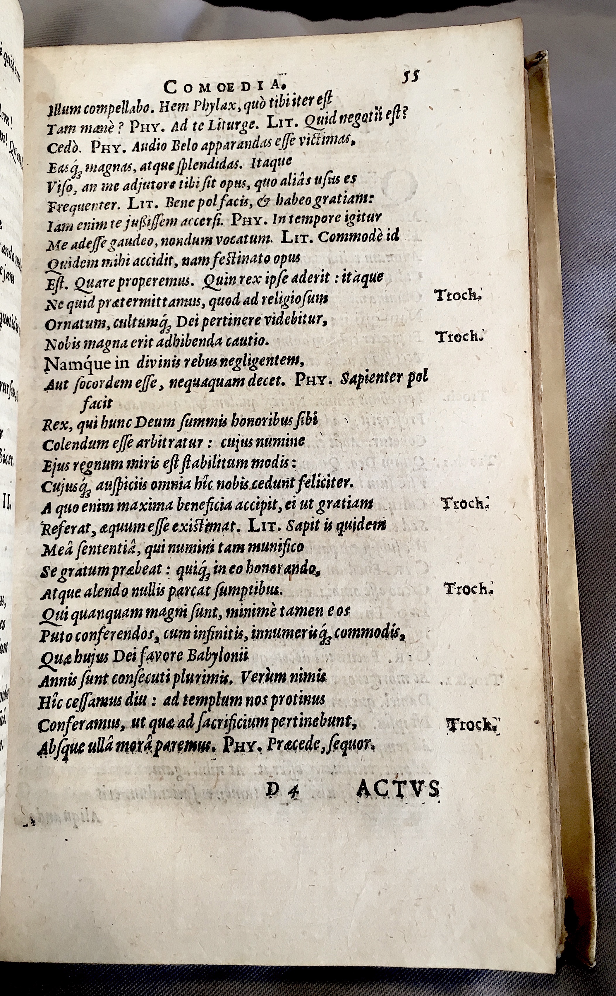 Schonaeus2Daniel1599p055.jpg