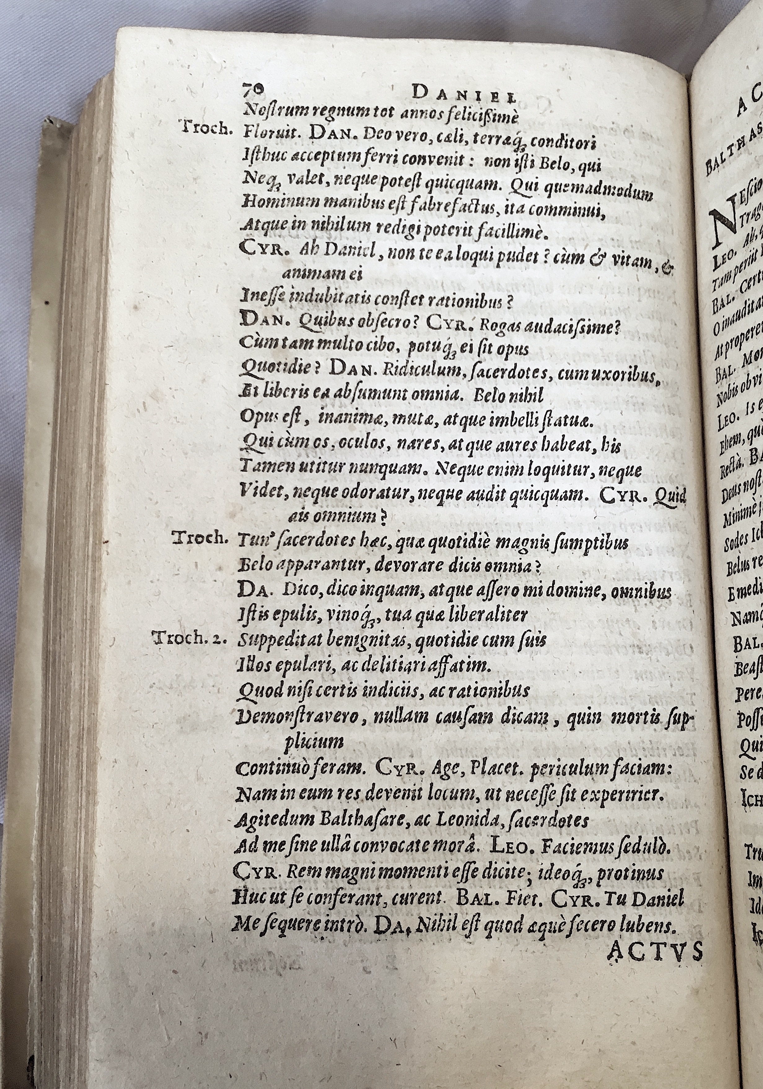 Schonaeus2Daniel1599p070.jpg