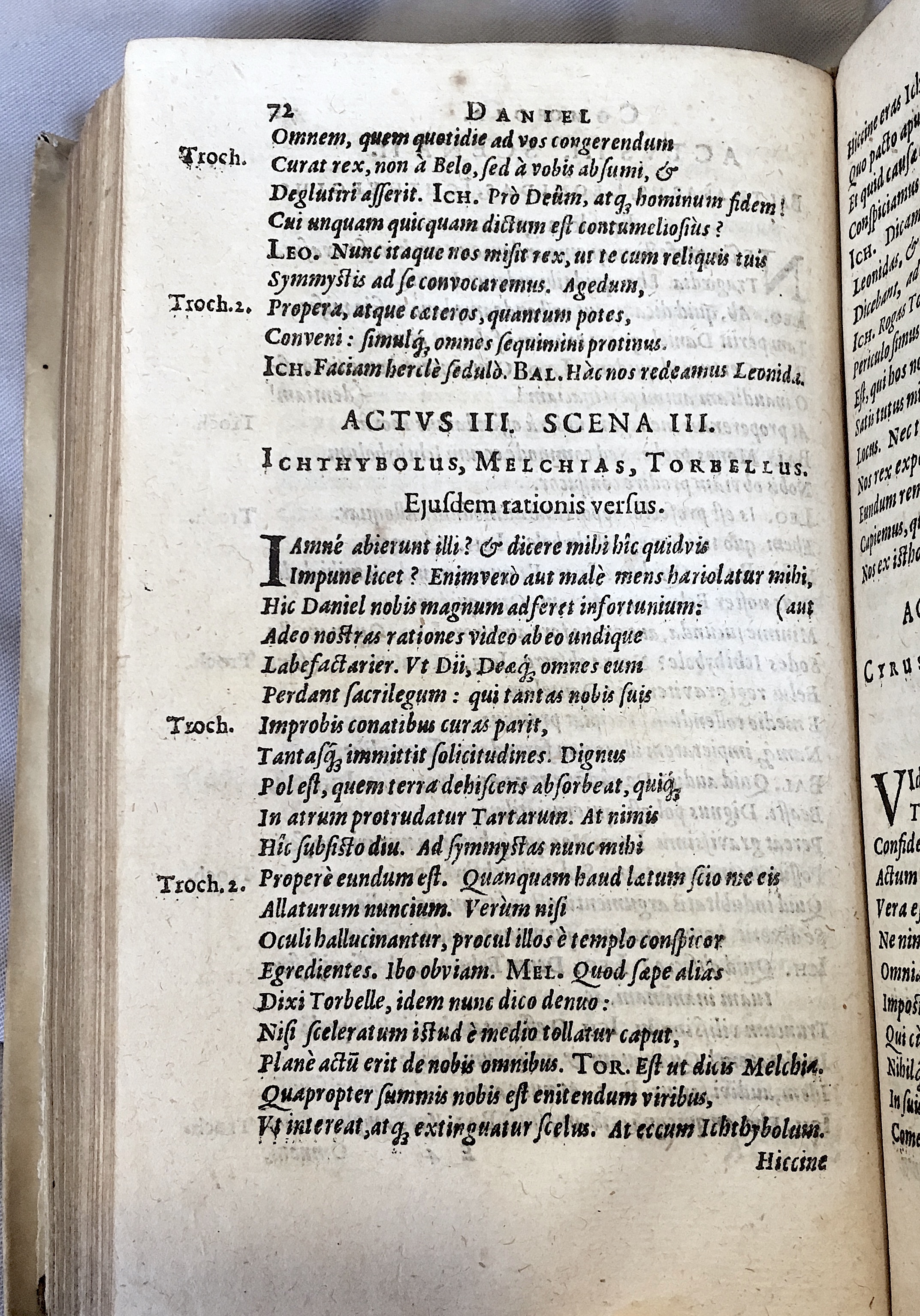 Schonaeus2Daniel1599p072.jpg