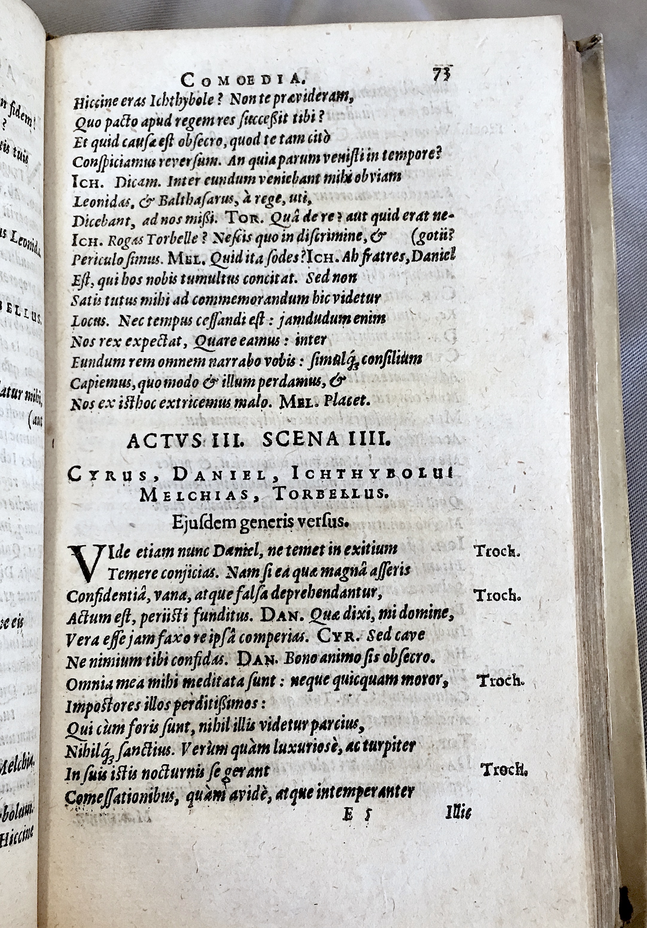 Schonaeus2Daniel1599p073.jpg