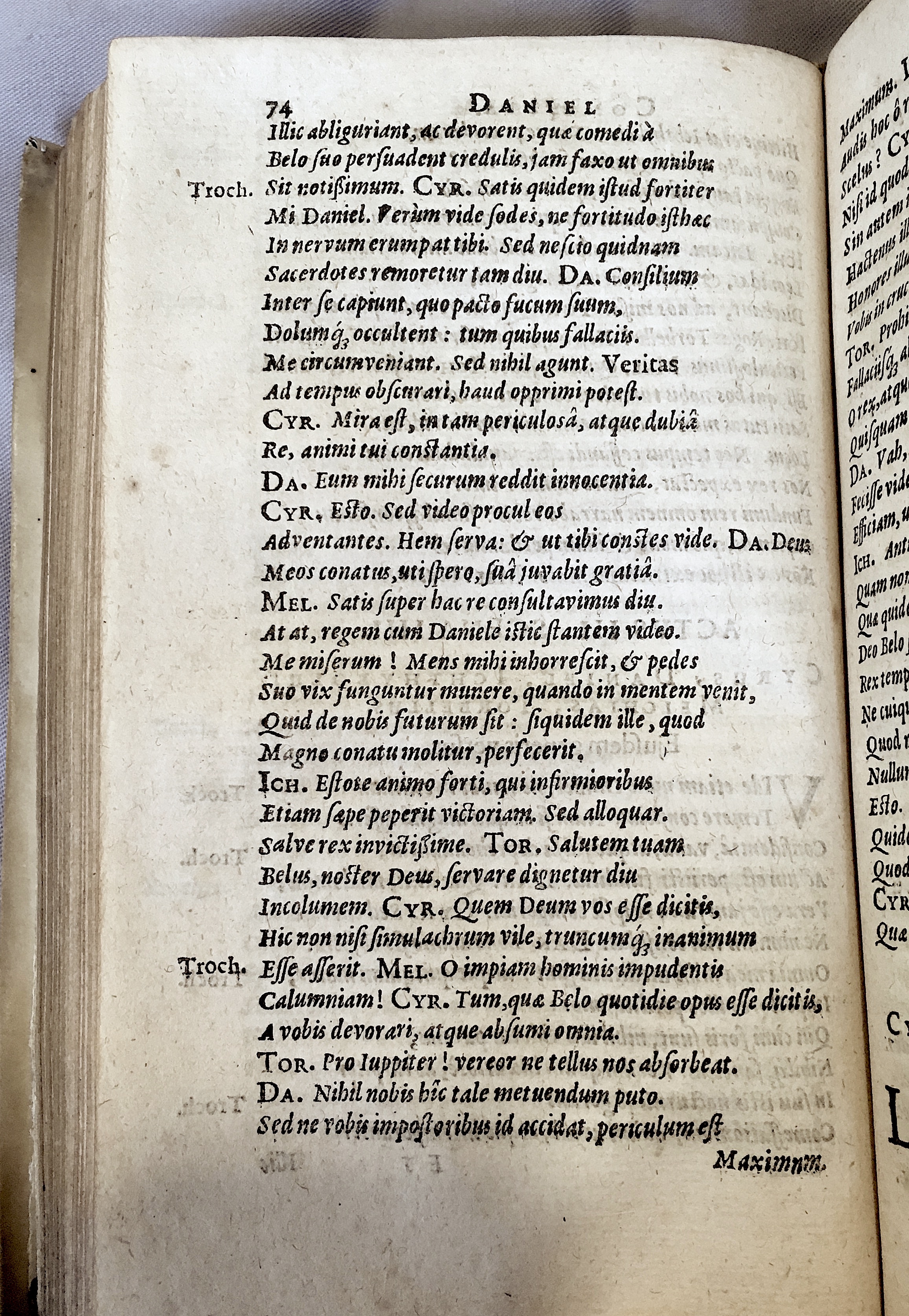 Schonaeus2Daniel1599p074.jpg