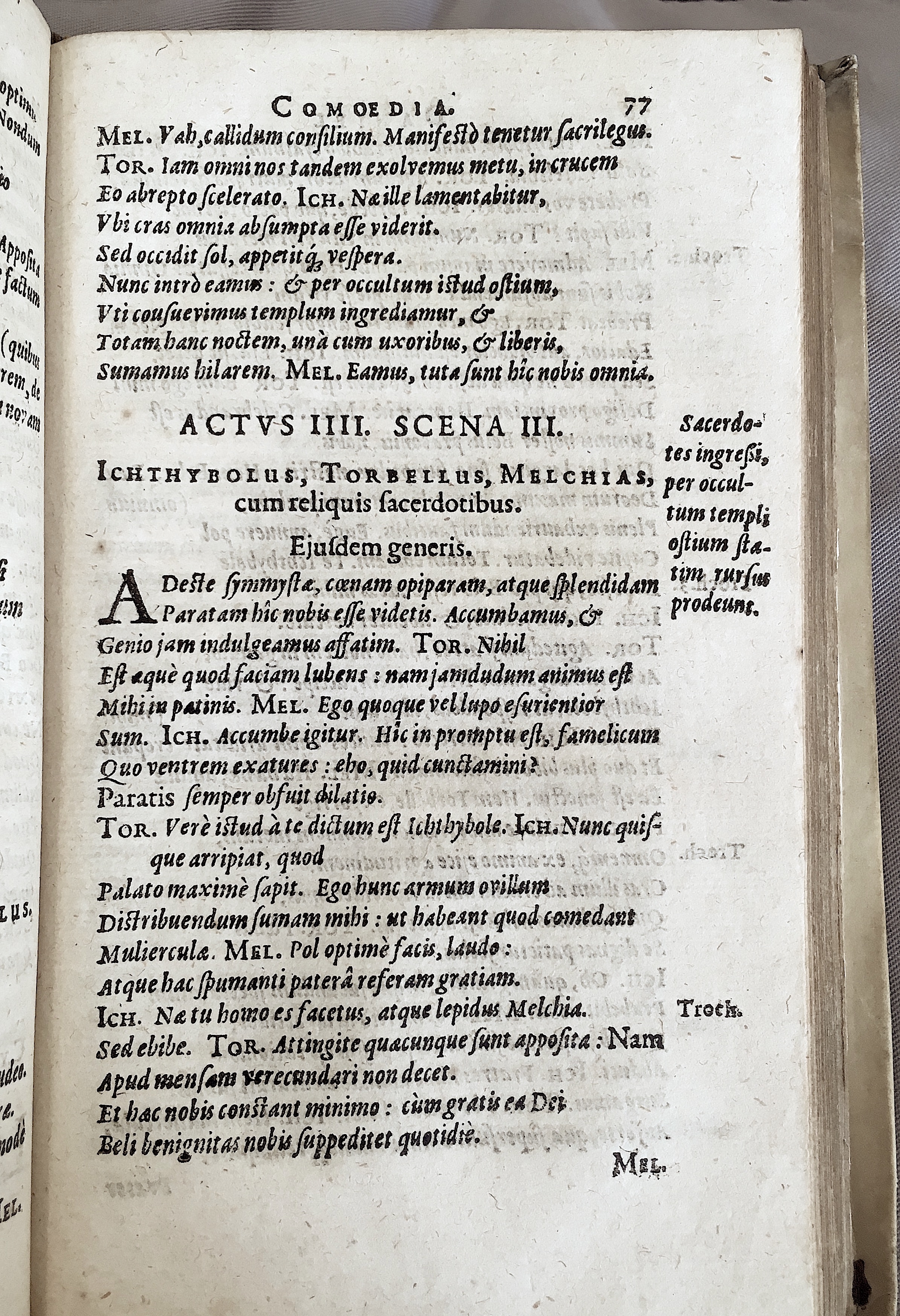 Schonaeus2Daniel1599p077.jpg