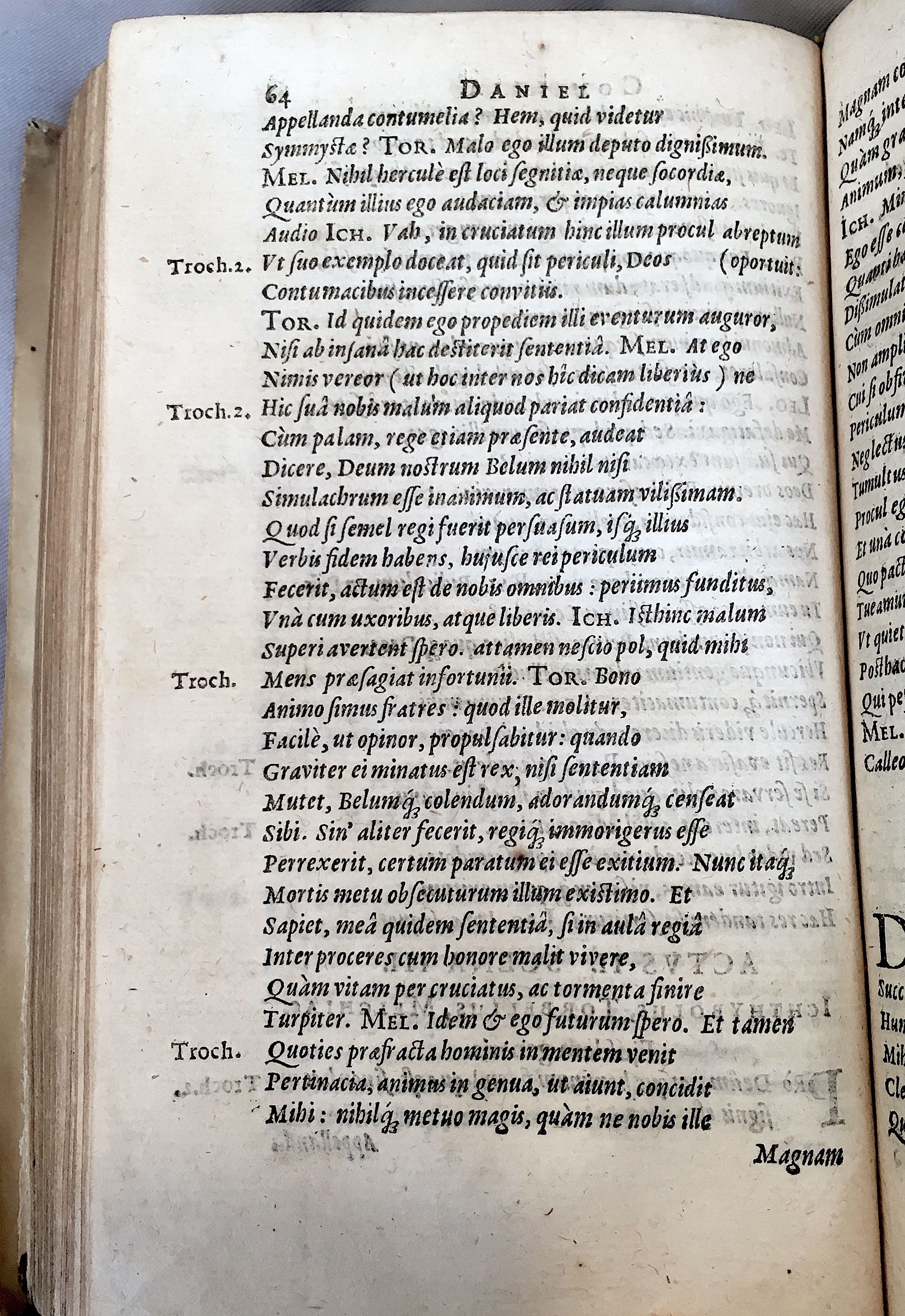 Schonaeus2Daniel1599p064