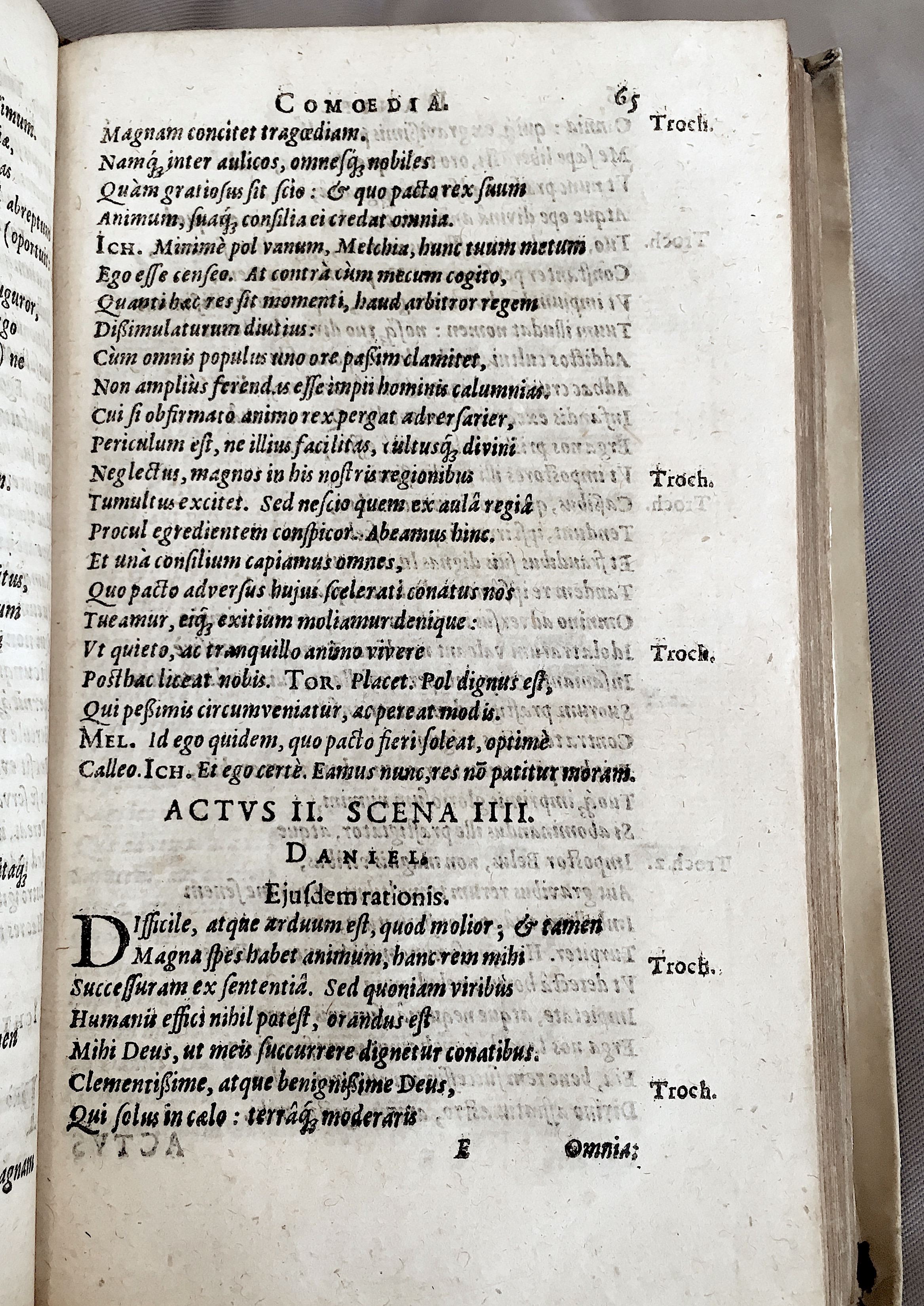 Schonaeus2Daniel1599p065