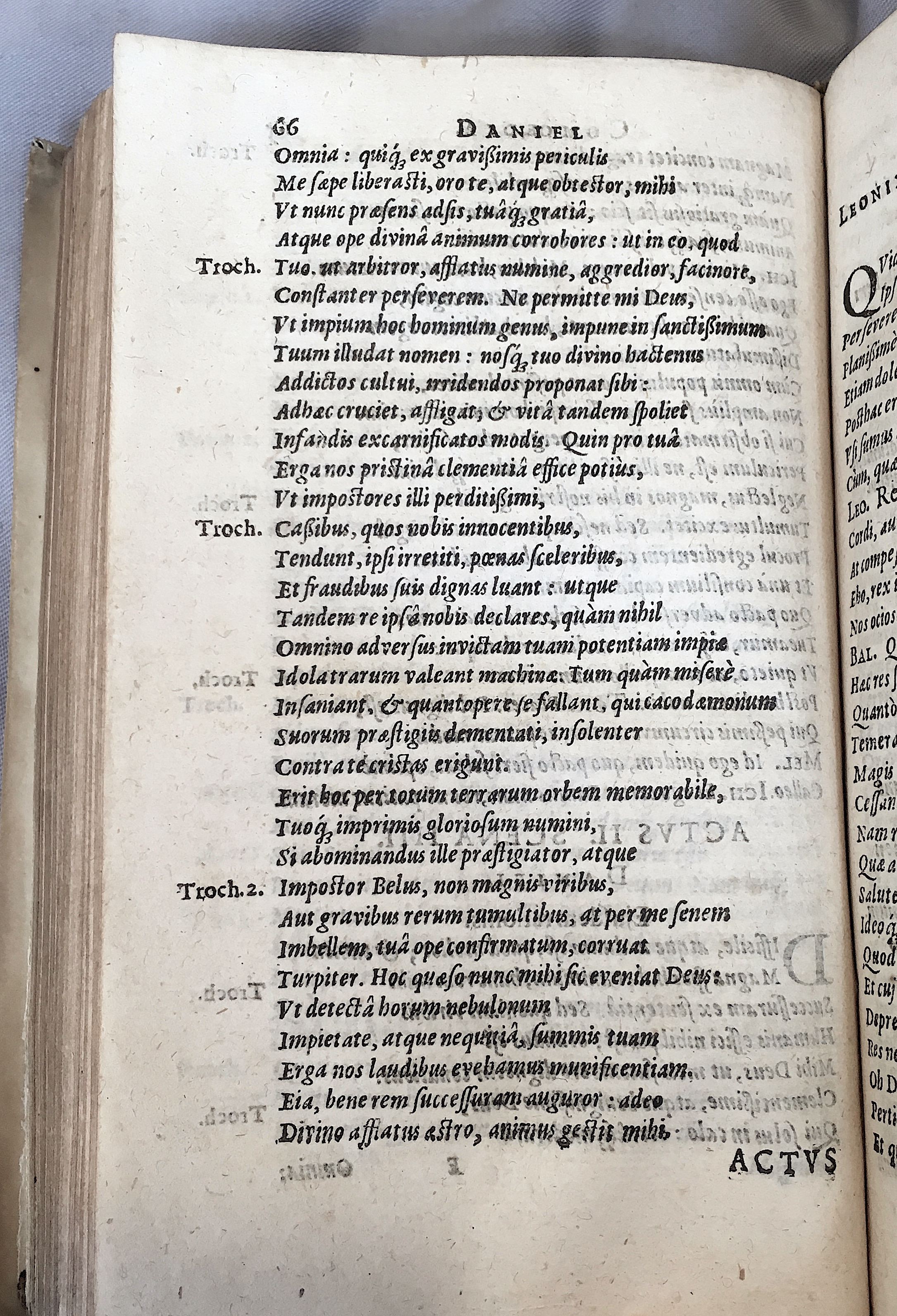 Schonaeus2Daniel1599p066