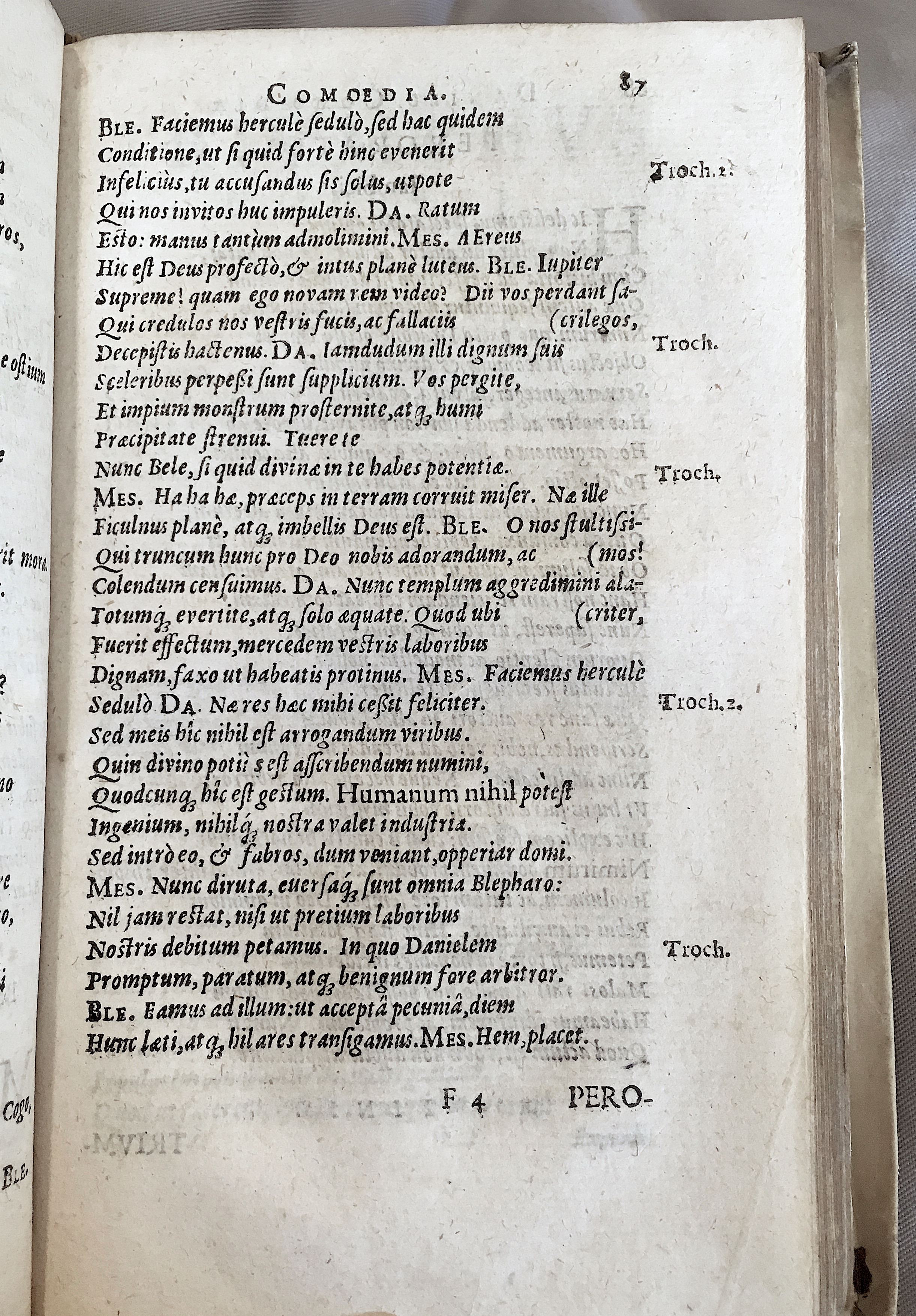 Schonaeus2Daniel1599p087