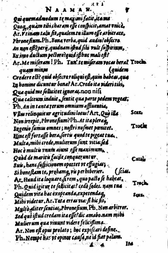 SchonaeusI1614107.jpg