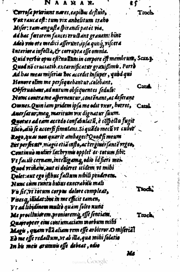 SchonaeusI1614115.jpg