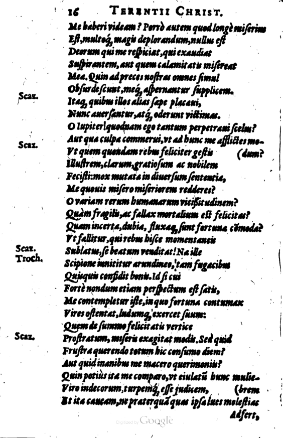 SchonaeusI1614116.jpg