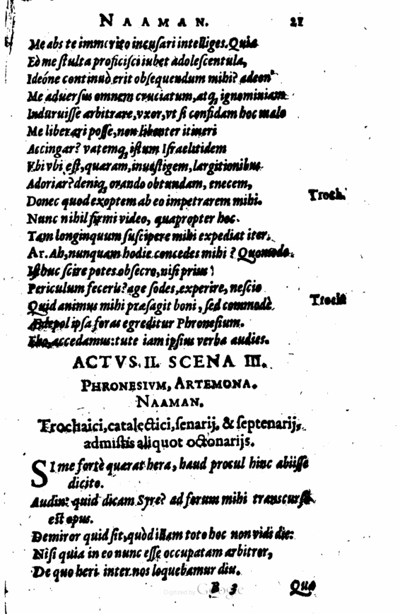 SchonaeusI1614121.jpg