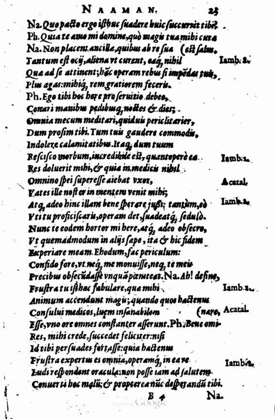 SchonaeusI1614123.jpg