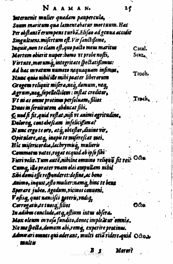 SchonaeusI1614125.jpg