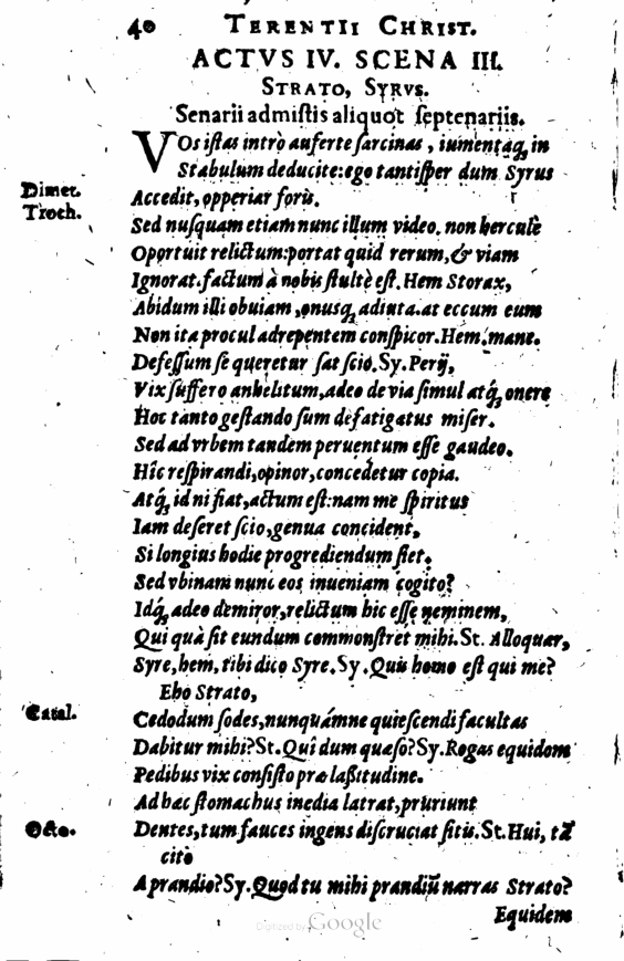 SchonaeusI1614140.jpg