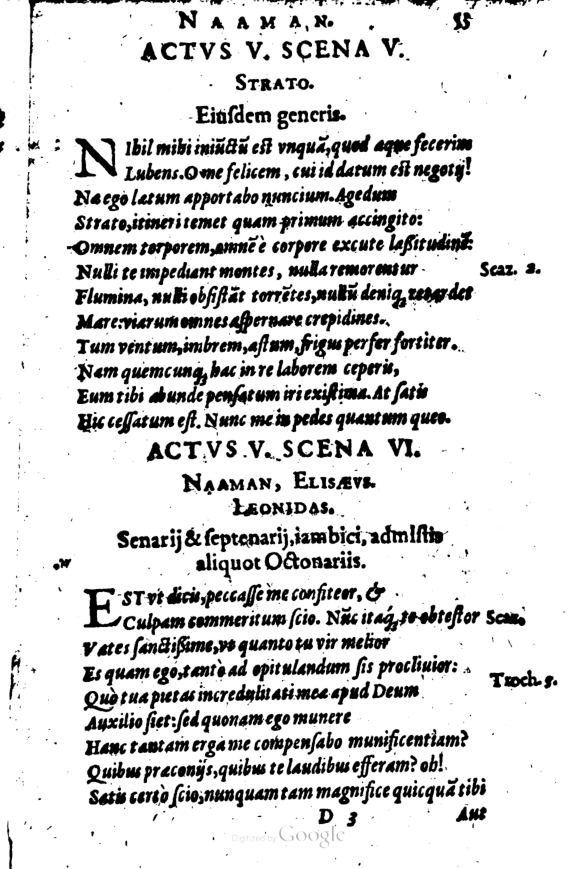 SchonaeusI1614153.jpg