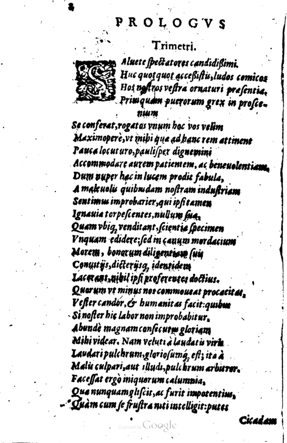 SchonaeusI1614202.jpg