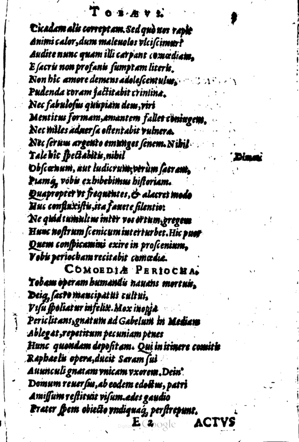 SchonaeusI1614203.jpg