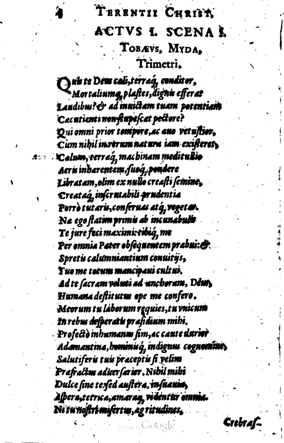 SchonaeusI1614204.jpg