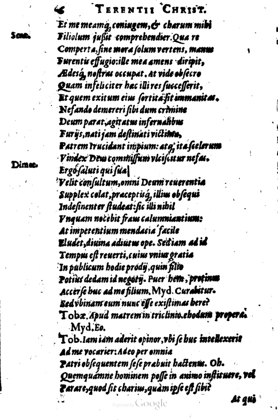 SchonaeusI1614206.jpg