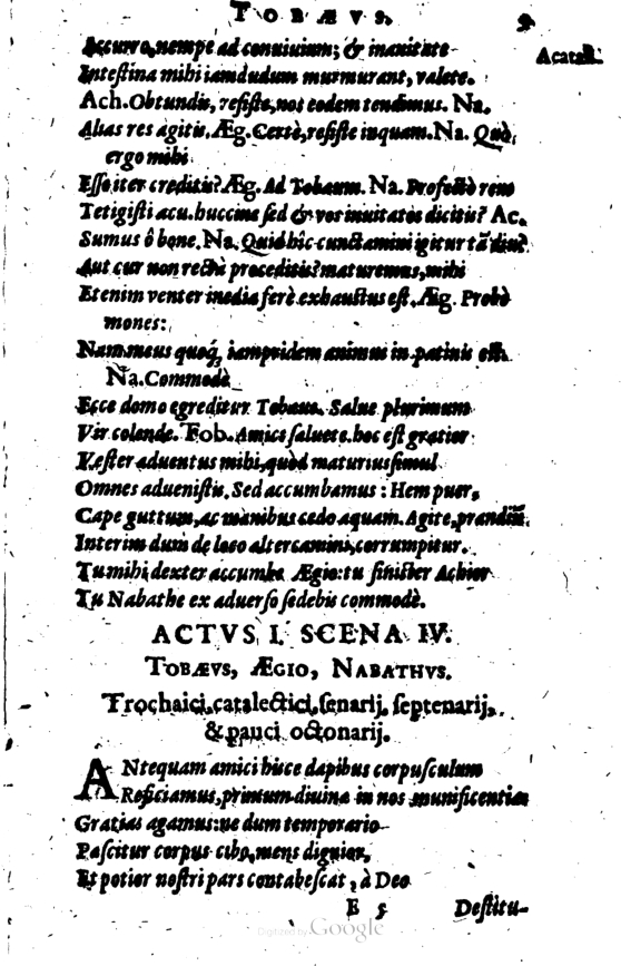 SchonaeusI1614209.jpg