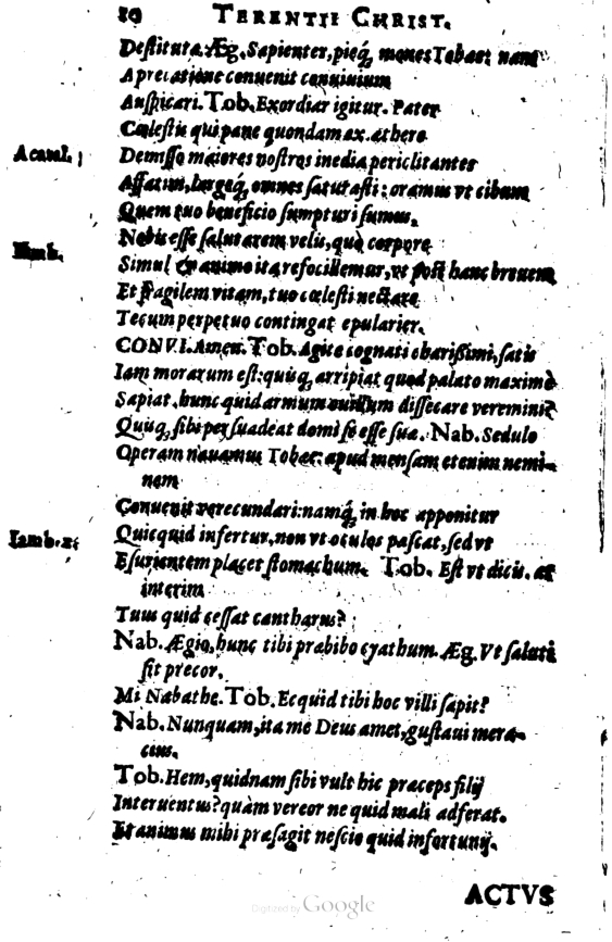 SchonaeusI1614210.jpg