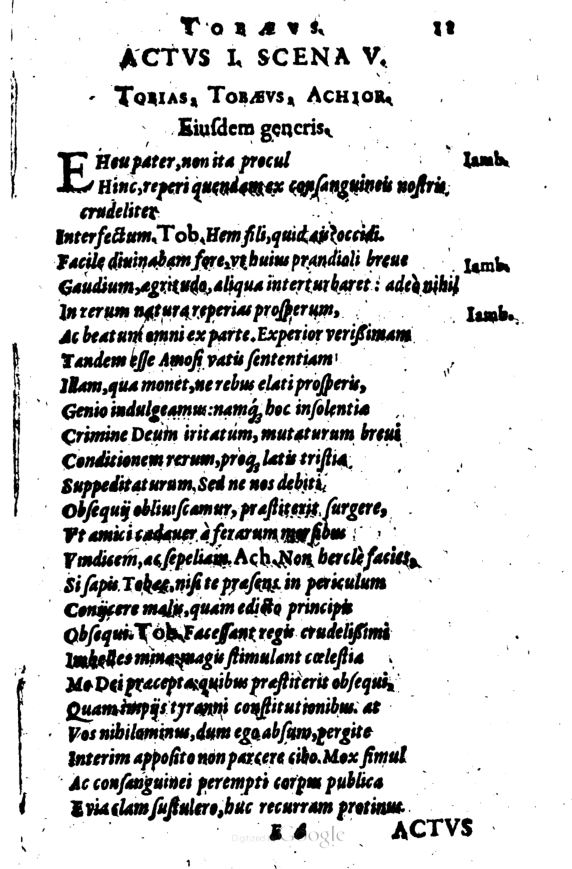 SchonaeusI1614211.jpg