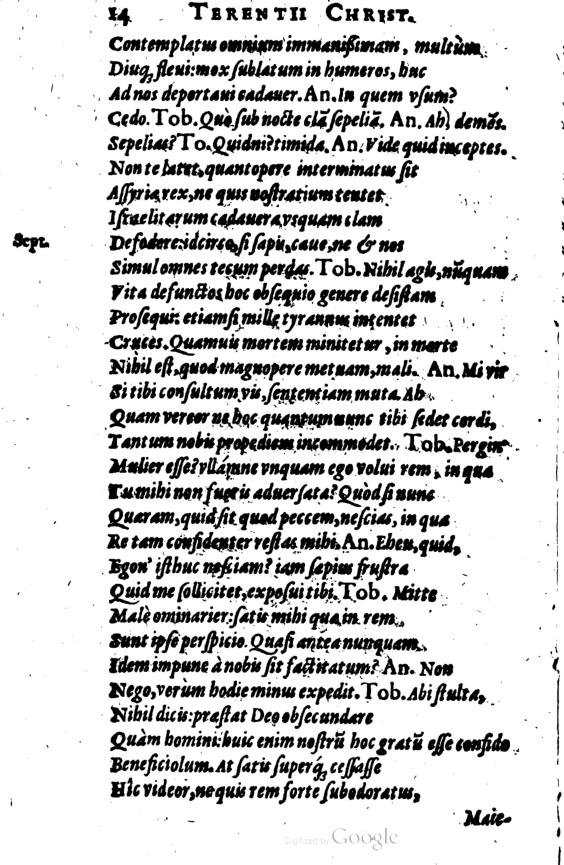 SchonaeusI1614214.jpg