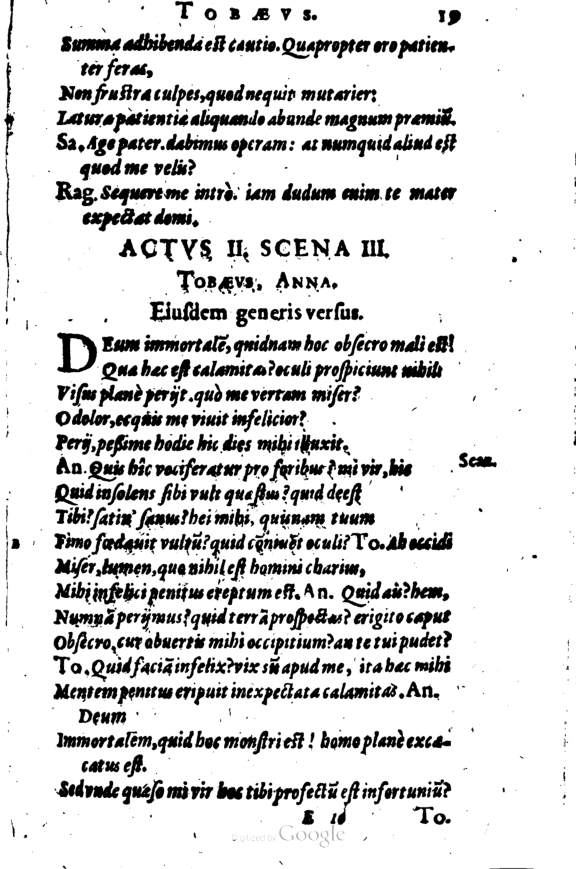 SchonaeusI1614219.jpg