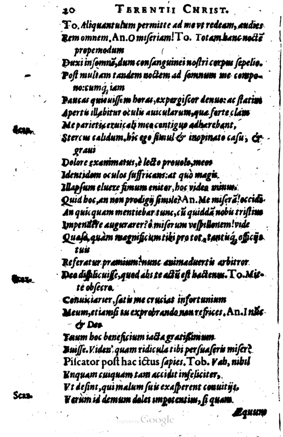 SchonaeusI1614220.jpg