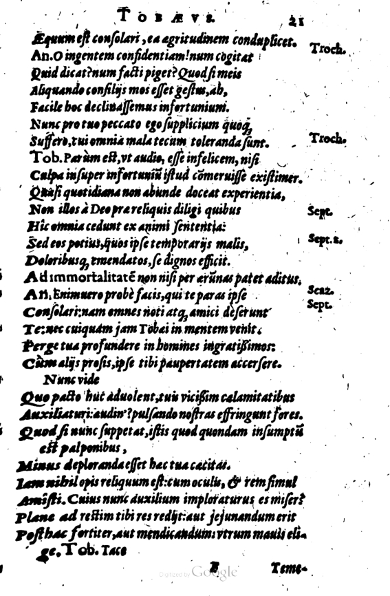 SchonaeusI1614221.jpg