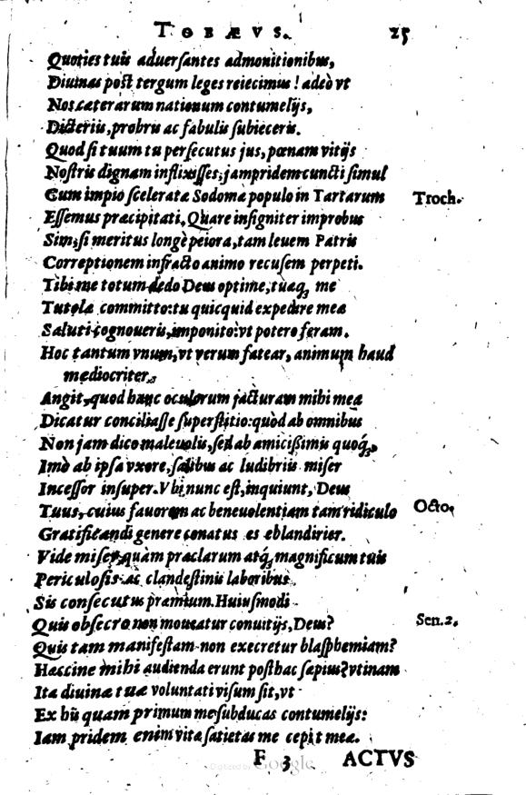 SchonaeusI1614225.jpg