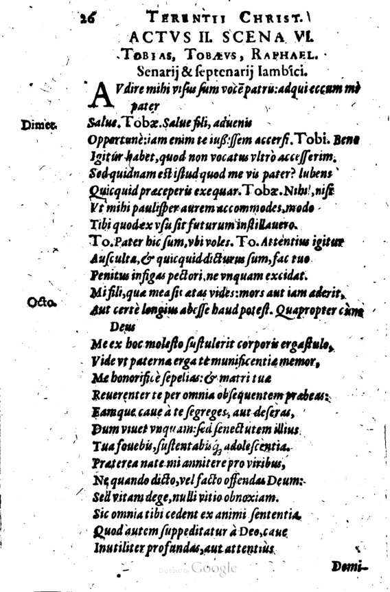 SchonaeusI1614226.jpg