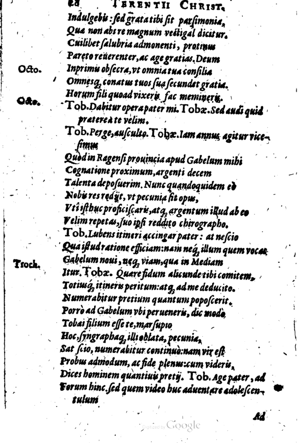 SchonaeusI1614228.jpg