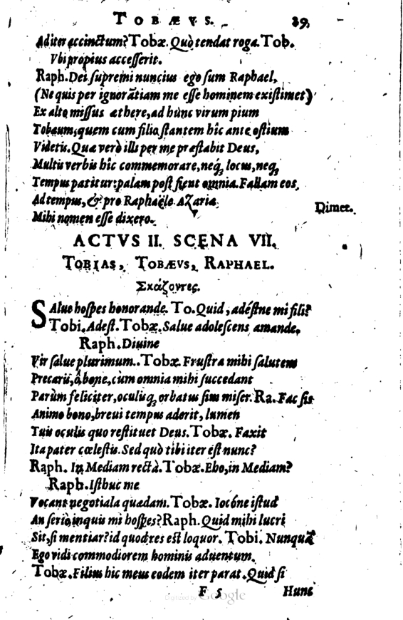 SchonaeusI1614229.jpg