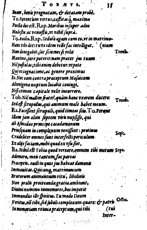 SchonaeusI1614235.jpg