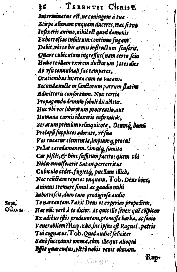 SchonaeusI1614236.jpg