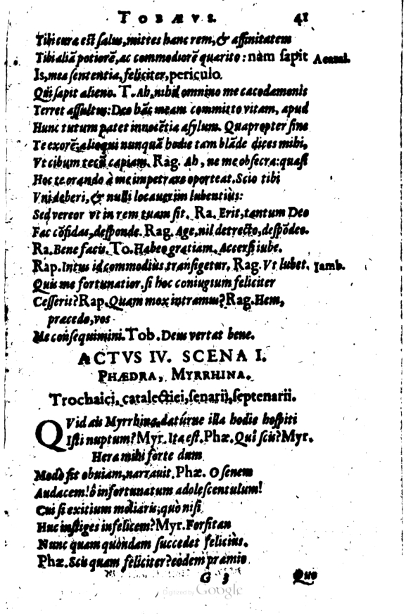 SchonaeusI1614241.jpg