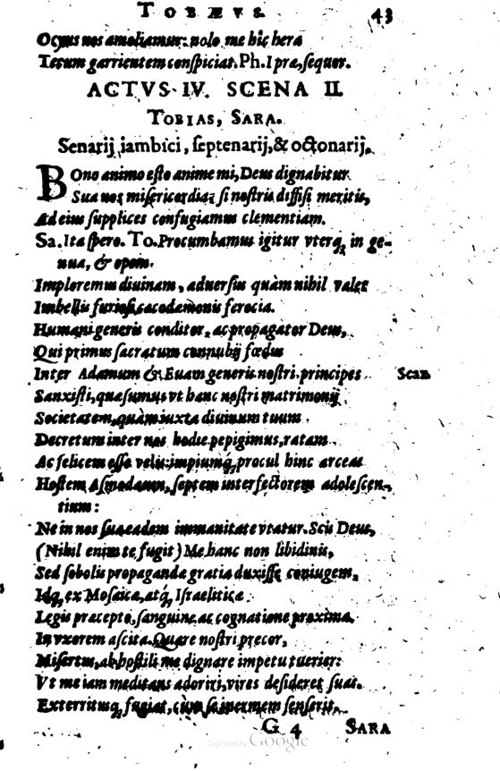 SchonaeusI1614243.jpg