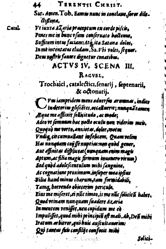 SchonaeusI1614244.jpg