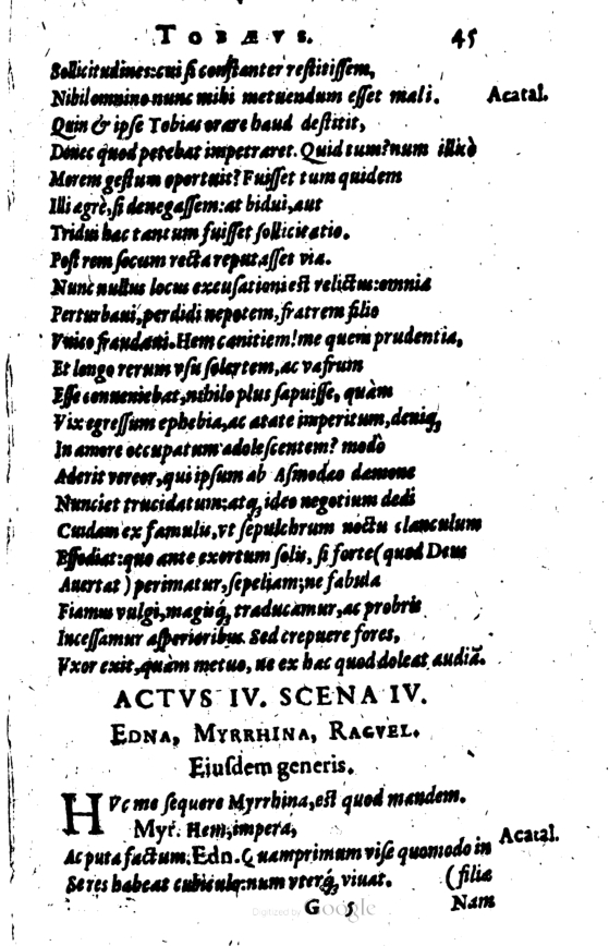 SchonaeusI1614245.jpg