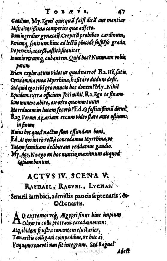 SchonaeusI1614247.jpg