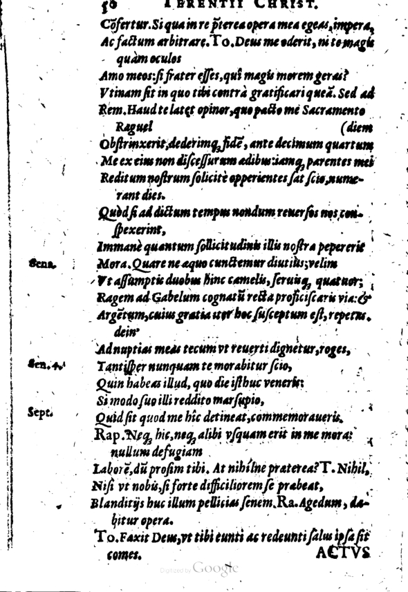 SchonaeusI1614250.jpg