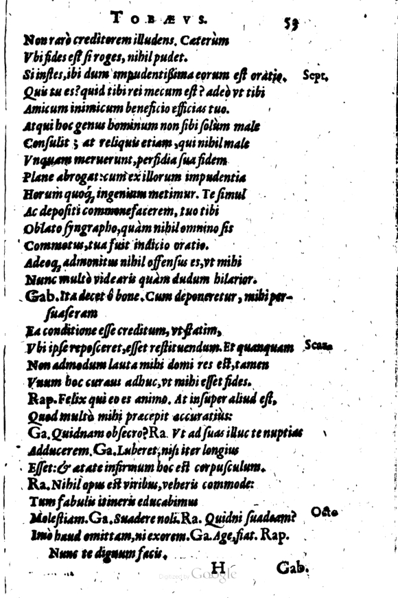 SchonaeusI1614253.jpg