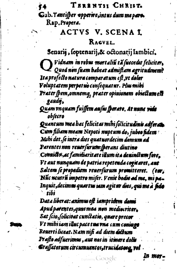 SchonaeusI1614254.jpg