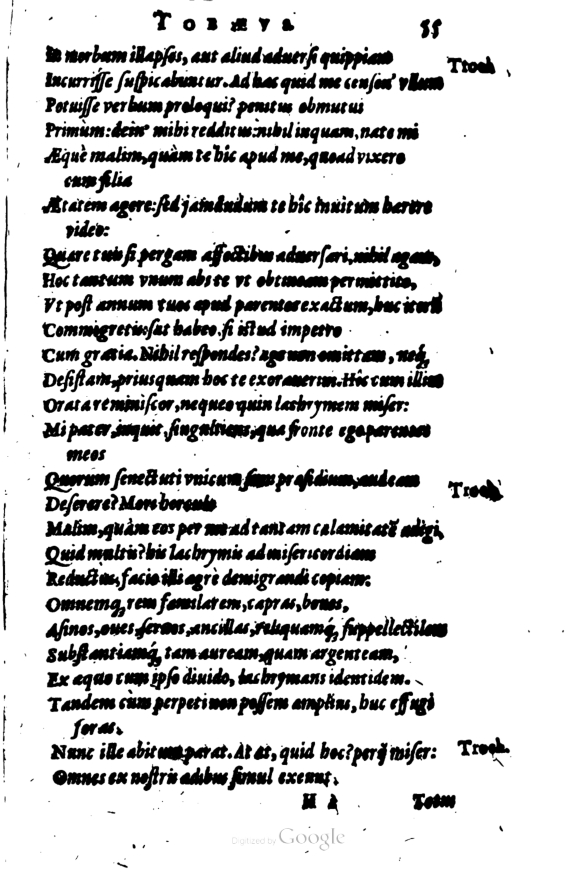 SchonaeusI1614255.jpg