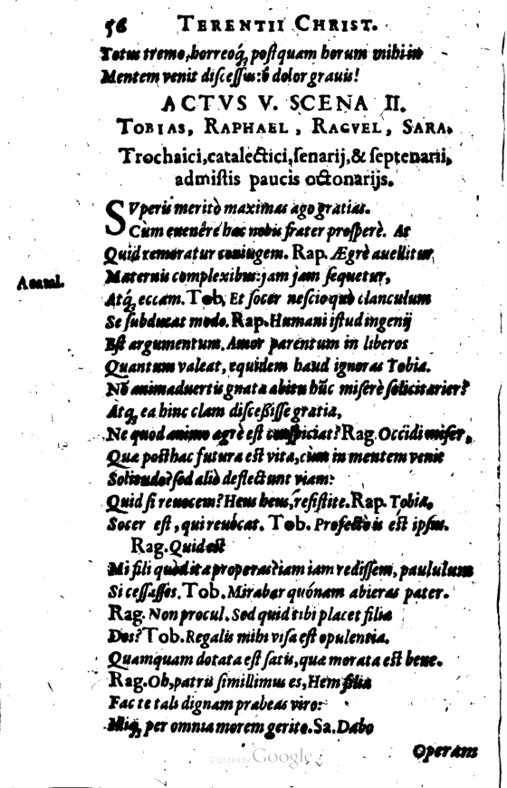 SchonaeusI1614256.jpg